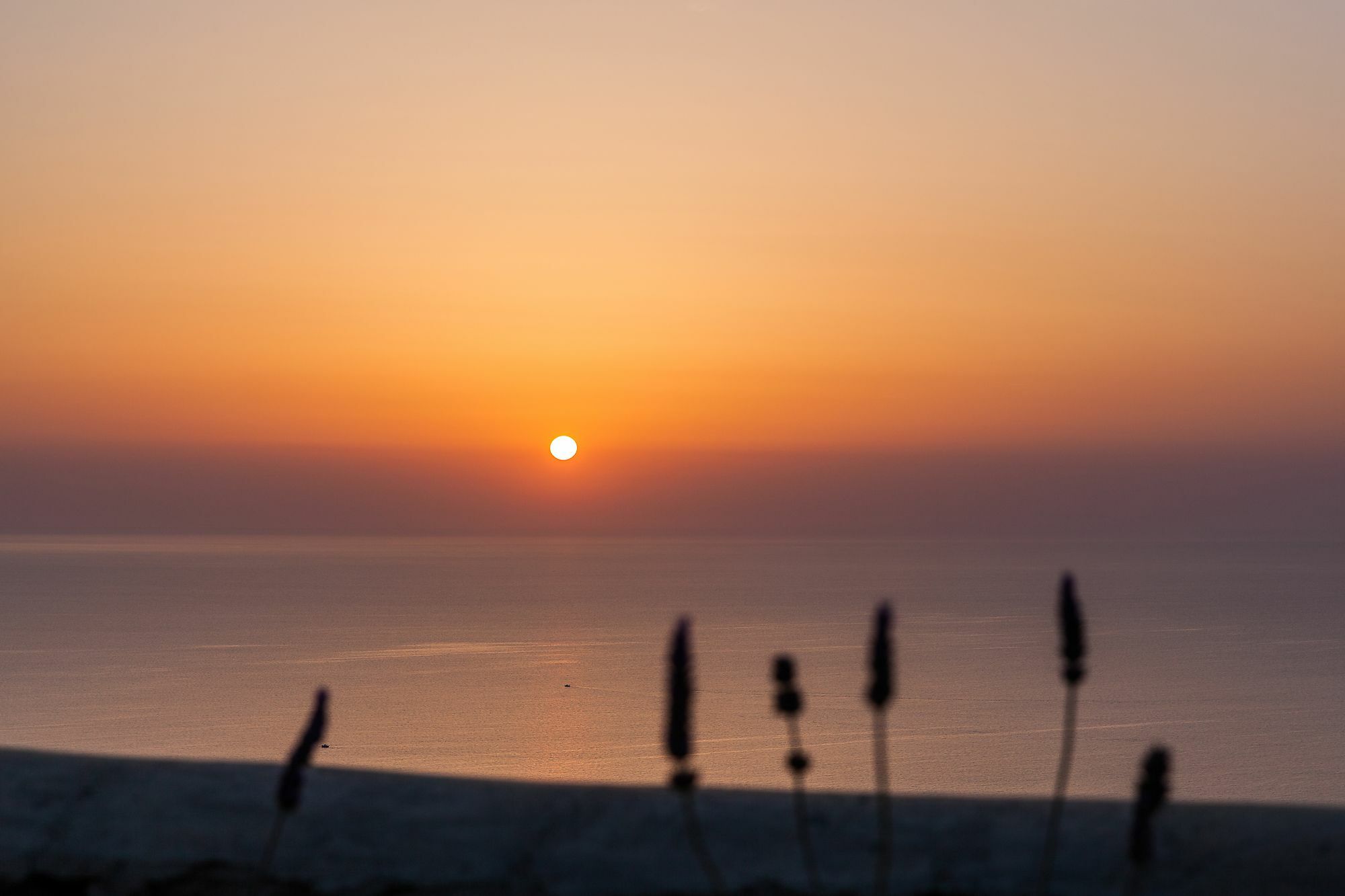 Villa Vinea Santorini Imerovigli  Zewnętrze zdjęcie